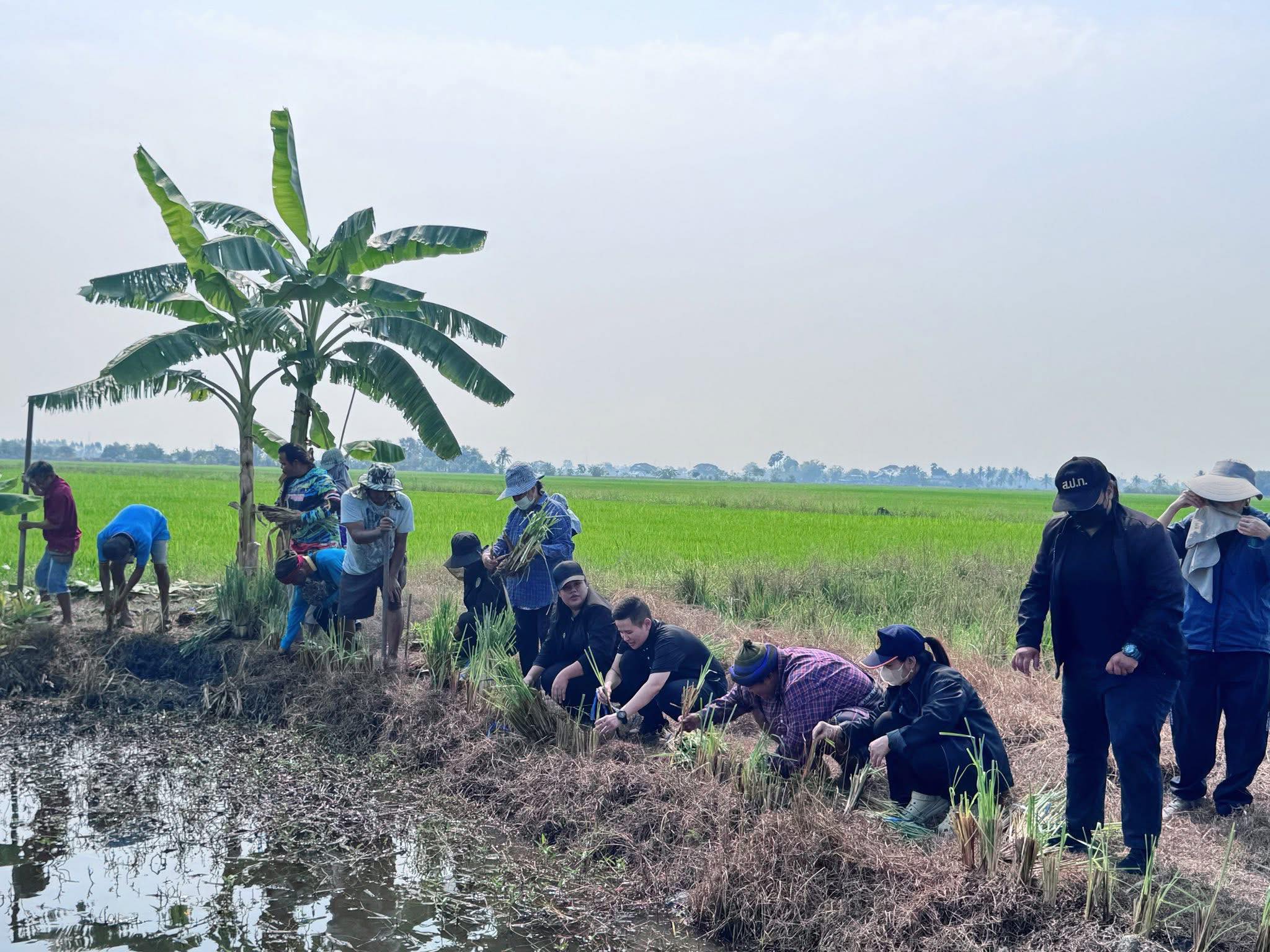 title - ส.ป.ก.อ่างทอง จัดกิจกรรมโครงการพัฒนาและรณรงค์การใช้หญ้าแฝกอันเนื่องมาจากพระราชดำริ ปีงบประมาณ 2569  
